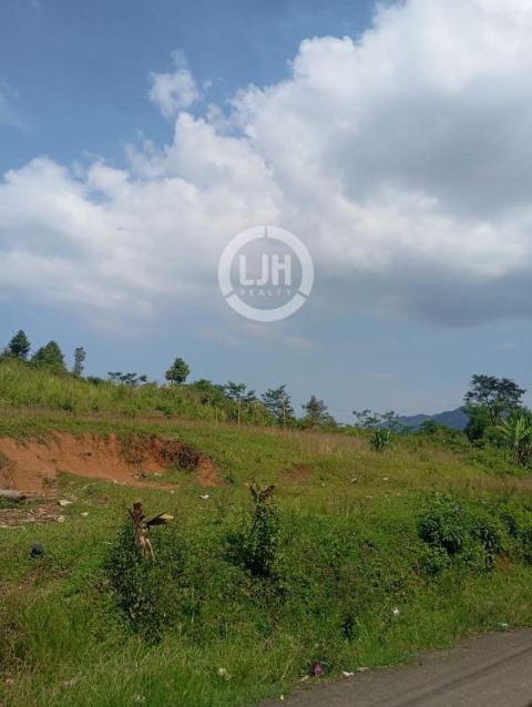 Tanah Luas ±11.000 m² Dijual di Desa Hambaro – Cocok untuk Investasi & Perkebunan