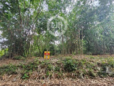 Kavling Dijual di Kampung Warudoyong, Bekasi, Jawa Barat