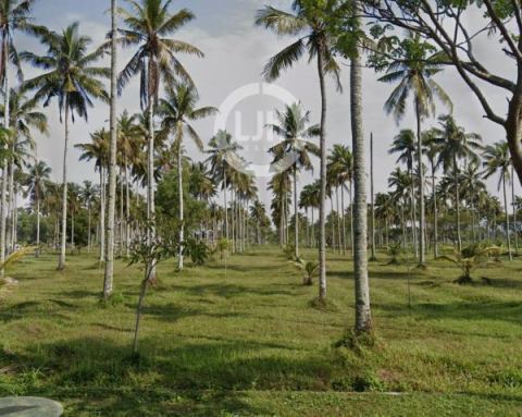 Tanah kosong strategis di kawasan Pantai Barat Pangandaran, menawarkan peluang investasi menjanjikan di salah satu destinasi wisata unggulan Jawa Barat