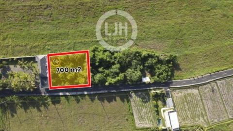 Beautiful Land for sale Just Minutes from the Beach – Ideal for Resort, Villa, or Private Home at Tabanan, close to Ciputra Beach Resort