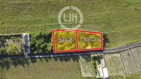 Beautiful Land for sale Just Minutes from the Beach – Ideal for Resort, Villa, or Private Home at Tabanan, close to Ciputra Beach Resort