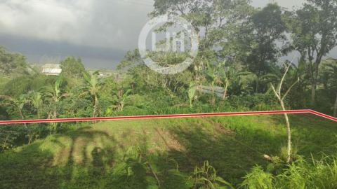 Land for sale at Baturiti, strategic location, good access, close to Bedugul Bali tourism