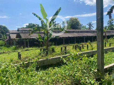 Kavling di Secang, Magelang