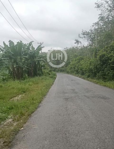 Lahan Industri Strategis 150 Ha Dekat Gerbang Tol Cileles - Investasi Emas!