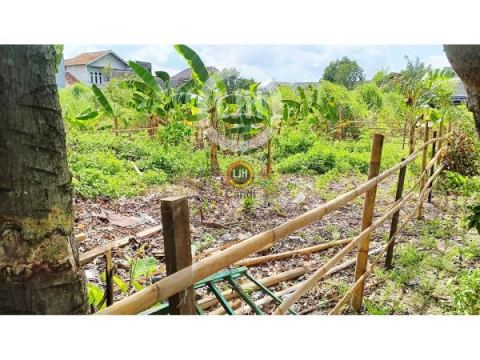 Kavling di Liman Mukti Pedurungan Semarang