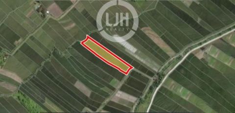 Land for sale at Tibu Biyu, Kerambitan, strategic location, close to Kelating Beach