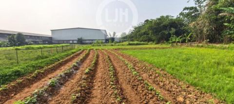 Tanah Kawasan Industri 11,155m² di Mekarjaya Curug, Tangerang
