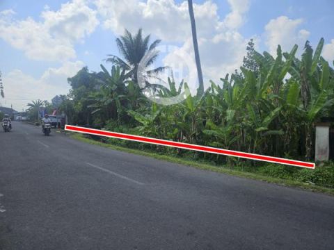 Land for rent at Dukuh, Tabanan, strategic location, in the Tabanan City, close to Dharma Kerti Hospital