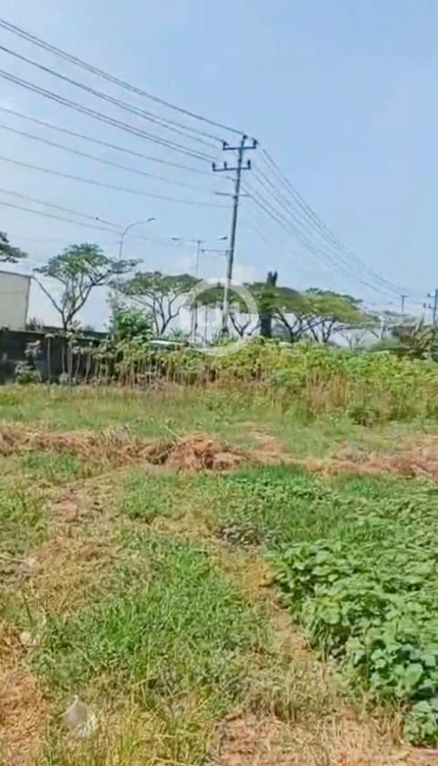 Kavling di Jalan Arteri Kaliwungu