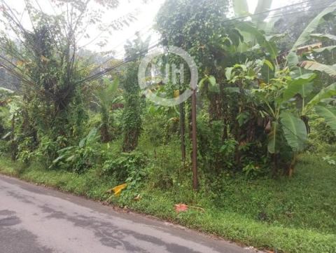 Tanah Strategis di Kp. Pasir Curih, Cimarga Lebak – Cocok untuk Investasi, Perkebunan & Hunian