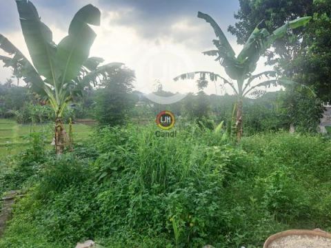 Kavling di Sidodadi Mijen Semarang