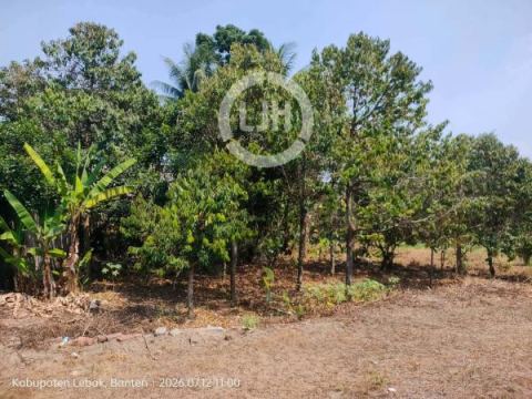 Tanah Strategis di Sunan Kalijaga Rangkasbitung – Investasi Menjanjikan di Lokasi Berkembang