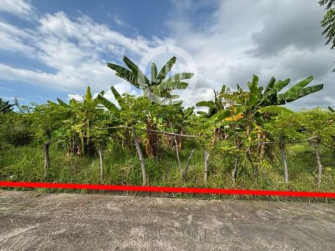 Land For Sale In Dencarik, Buleleng, Walking Distance to Banjar Beach