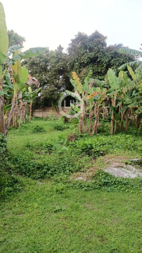 Tanah Disewakan Kawasan Curug Nagrog Tangerang