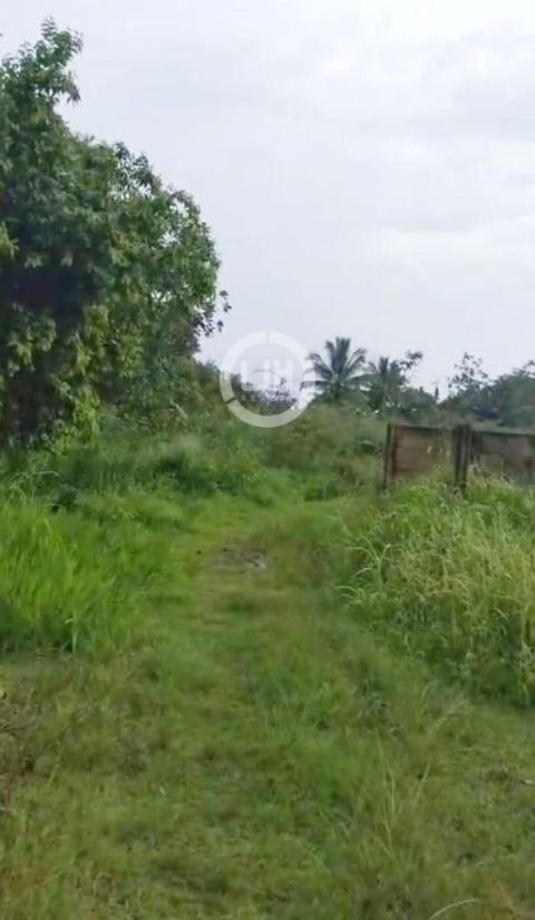 Tanah Dijual di Bogor – Lokasi Strategis dan Cocok untuk Investasi