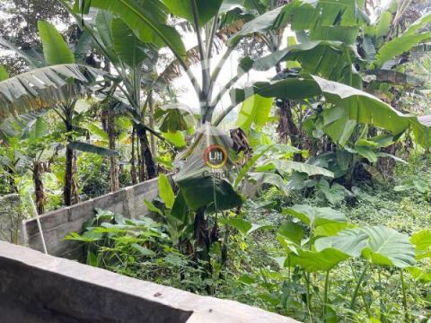 Kavling DS Watuagung Tuntang Salatiga Jawa Tengah