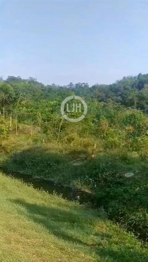 DIJUAL TANAH STRATEGIS DI JASINGA – BOGOR