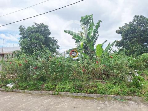 Kavling DS Piyoto Tegal Gintungan Bandungan Jawa Tengah