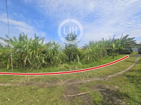 Land for rent at Selemadeg, Tabanan, Strategic location, good access, only 5 km to Klecung Beach