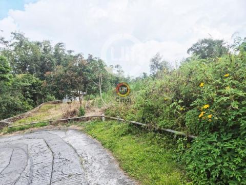 Kavling di Sidomukti Bandungan Jawa Tengah