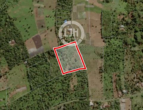 Land for sale at Kecamatan Banjar, Buleleng, strategic location, close to Tamblingan Lake, suitable for investment