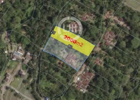 Land for rent at Payangan, Gianyar, strategic location good access, only 30 minutes to Kintamani area