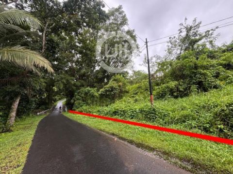 Strategic Land for Sale in Tabanan Bali Suitable for Villas, Investments, Homestays, Good Access, Beautiful Environment