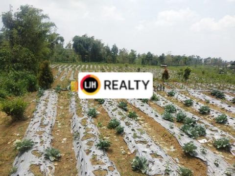 Kavling + Gudang di Getasan Tajuk Kopeng Jawa Tengah
