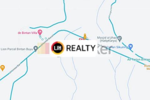 Tanah Luas Di Pulau Bintan
