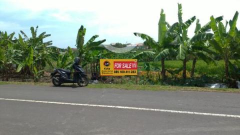 Suitable For Villa, House Or Investment, Land In Pererenan Canggu With Quite Environment And Beautiful Rice Field View, Close Echo Beach, Pererenan Beach And Pepito Market