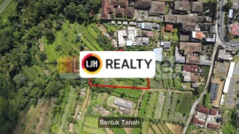 Land in Bedugul, Tabanan With Beautiful View, Suitable for Agrotourism 